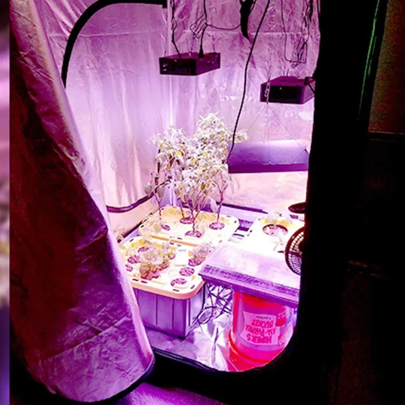 Grow Tent 4X4 - Nouvelle Tendance : Tente de Culture