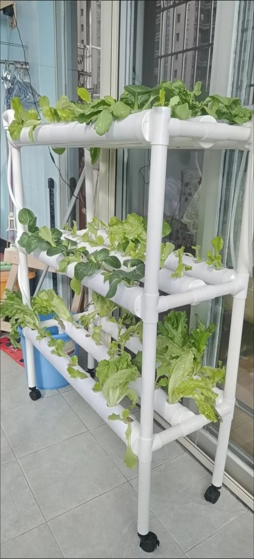 Chine tente de culture plantes - Grow Tent 4X4 avis et prix